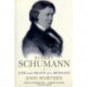 Robert Schumann: Life and Death of a Musician
