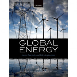 Global Energy: Issues, Potentials, and Policy Implications