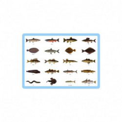 Dækkeserviet plast Fisk