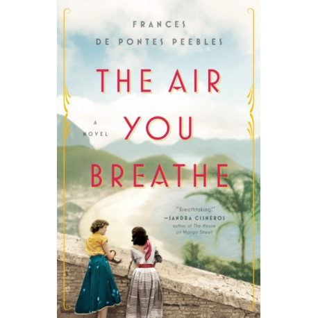 The Air You Breathe: A Novel