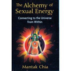 The Alchemy of Sexual Energy: Connecting to the Universe from Within