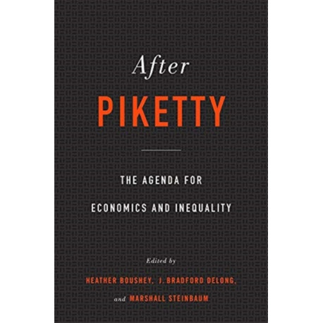 After Piketty: The Agenda for Economics and Inequality