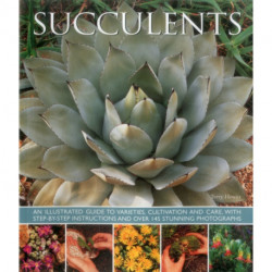 Succulents