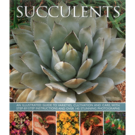 Succulents