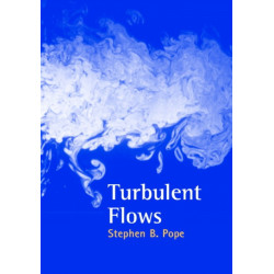 Turbulent Flows
