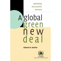 A Global Green New Deal: Rethinking the Economic Recovery