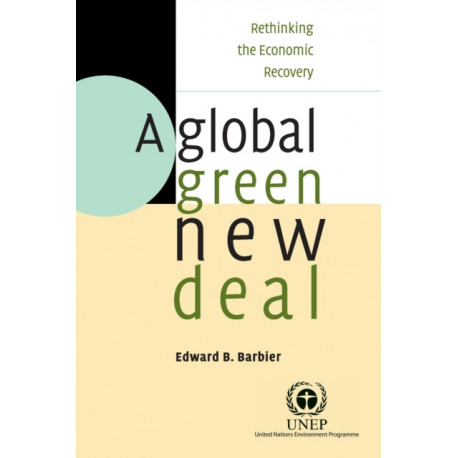 A Global Green New Deal: Rethinking the Economic Recovery