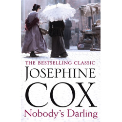 Nobody's Darling: A captivating saga of family, friendship and love