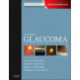 Glaucoma: 2-Volume Set
