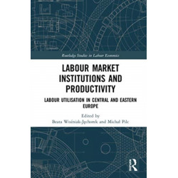 Labour Market Institutions and Productivity: Labour Utilisation in Central and Eastern Europe
