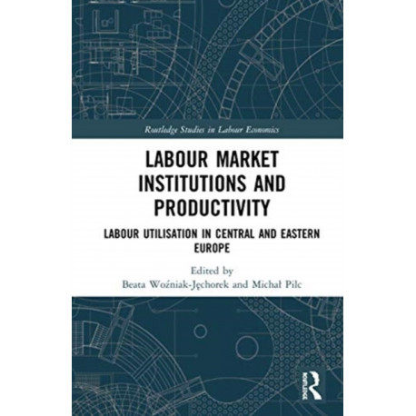 Labour Market Institutions and Productivity: Labour Utilisation in Central and Eastern Europe