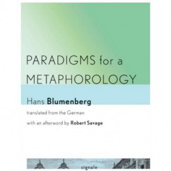 Paradigms for a Metaphorology