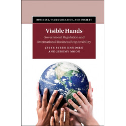 Visible Hands: Government Regulation and International Business Responsibility