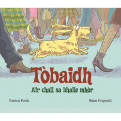 Tobaidh Air Chall Sa Bhaile Mhor