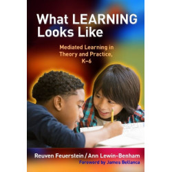 What Learning Looks Like: Mediated Learning in Theory and Practice, K-6