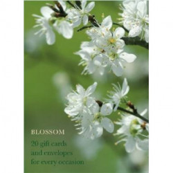 Blossom Large Card Box