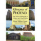 Glimpses of Phoenix: The Desert Metropolis in Written and Visual Media