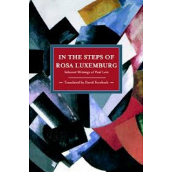 In The Steps Of Rosa Luxemburg: Selected Writings Of Paul Levi: Historical Materialism, Volume 31