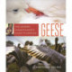 The Modern Homesteader's Guide to Keeping Geese