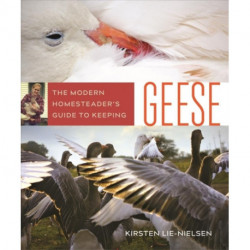The Modern Homesteader's Guide to Keeping Geese