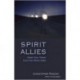 Spirit Allies: Meet Your Team from the Other Side