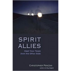 Spirit Allies: Meet Your Team from the Other Side