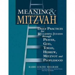 Meaning & Mitzvah: Daily Practices for Reclaiming Judaism through Prayer, God, Torah, Hebrew, Mitzvot and Peoplehood