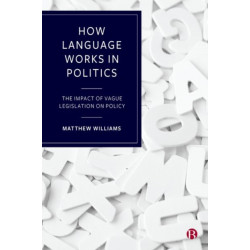 How Language Works in Politics: The Impact of Vague Legislation on Policy