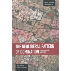 Neoliberal Pattern Of Domination: Capital's Reign In Decline: Studies in Critical Social Sciences, Volume 43