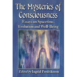 The Mysteries of Consciousness: Essays on Spacetime, Evolution and Well-Being