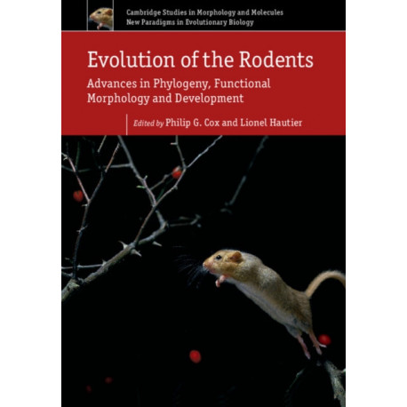 Evolution of the Rodents: Volume 5: Advances in Phylogeny, Functional Morphology and Development