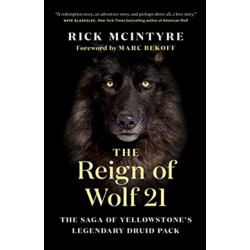The Reign of Wolf 21: The Saga of Yellowstone's Legendary Druid Pack
