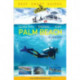 Reef Smart Guides Florida: Palm Beach: Scuba Dive. Snorkel. Surf. (Some of the Best Diving Spots in Florida)