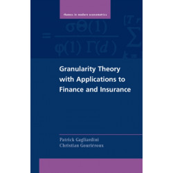 Granularity Theory with Applications to Finance and Insurance