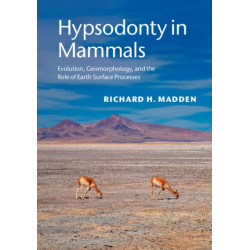 Hypsodonty in Mammals: Evolution, Geomorphology, and the Role of Earth Surface Processes