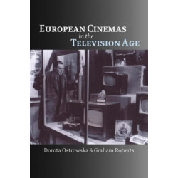 European Cinemas in the Television Age