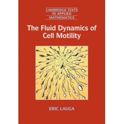 The Fluid Dynamics of Cell Motility