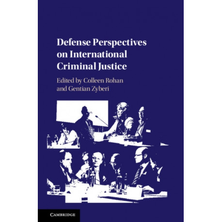 Defense Perspectives on International Criminal Justice