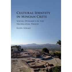 Cultural Identity in Minoan Crete: Social Dynamics in the Neopalatial Period