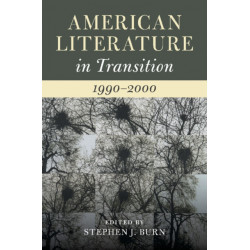 American Literature in Transition, 1990–2000