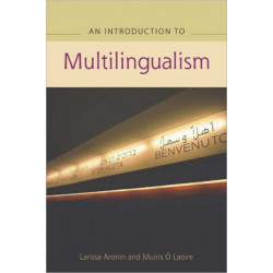 An Advanced Guide to Multilingualism