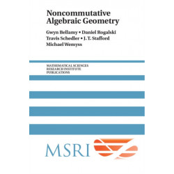 Noncommutative Algebraic Geometry