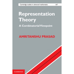 Representation Theory: A Combinatorial Viewpoint