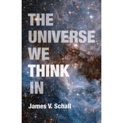 The Universe We Think in