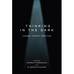 Thinking in the Dark: Cinema, Theory, Practice