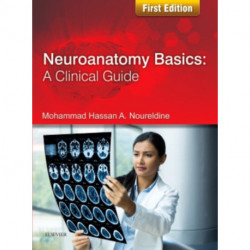 Neuroanatomy Basics: A Clinical Guide