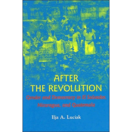 After the Revolution: Gender and Democracy in El Salvador, Nicaragua, and Guatemala