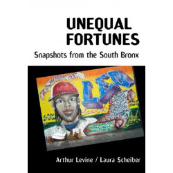 Unequal Fortunes: Snapshots from the South Bronx