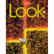 Look 5 (British English)