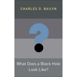 What Does a Black Hole Look Like?